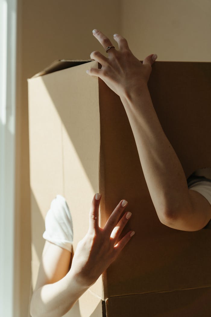 Hands of a person playfully holding a cardboard box, with sunlight streaming in, creating a cozy indoor ambiance.